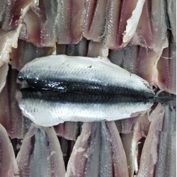 boqueron online anchoa