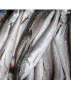Comprar merluza fresca en Pescados y mariscos anna online calidad