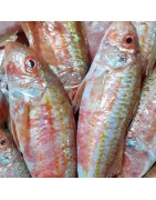 Comprar salmonetes fresco online en la tienda pescados y mariscos anna