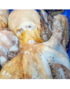 Comprar pulpo fresco Pescados y mariscos anna venta online calidad